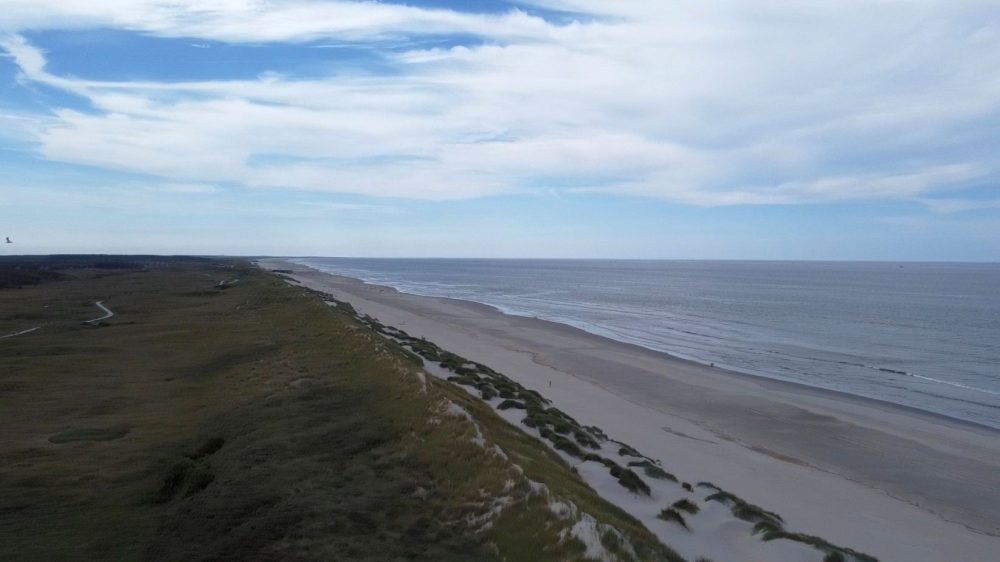 View down a long empty beach, seen from above the ground.