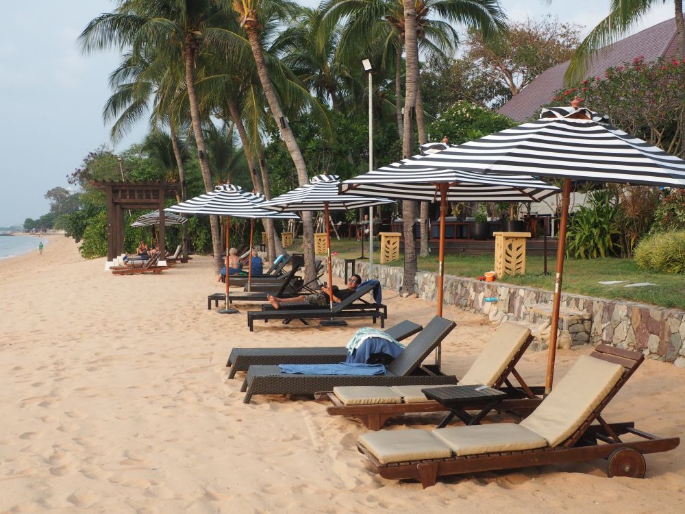 Lounge chairs with blue and white umbrellas on white sand with palm trees in the background.