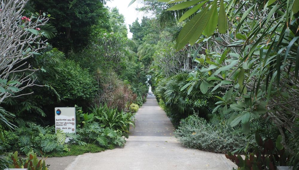 A walkway straight ahead, far into the distance, with lush greenery on either side as far as you can see.