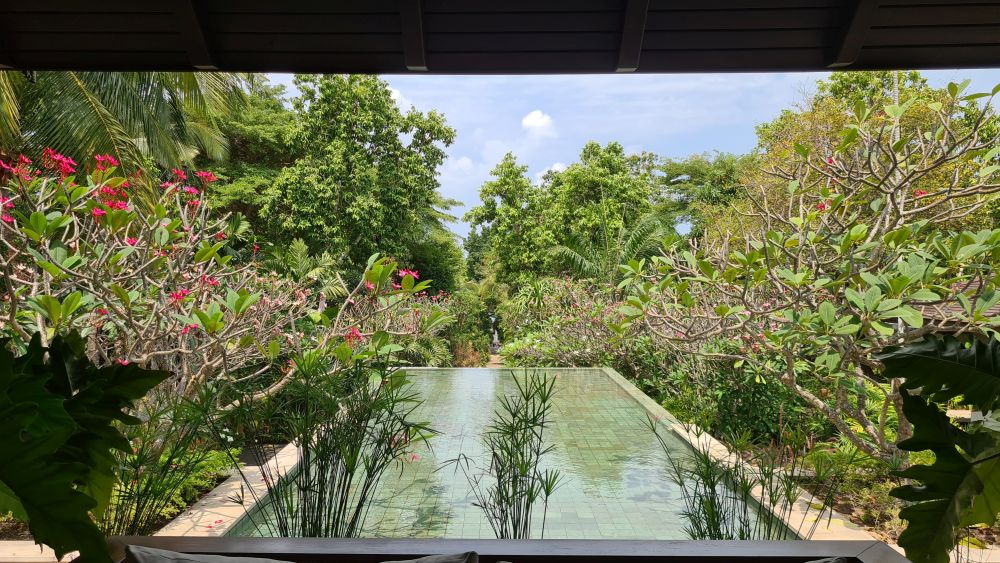 A shallow rectangular pool surrounded by tropical greenery.