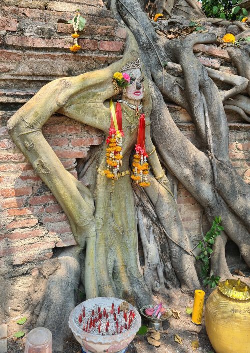 The image of a woman on a tree root, with offerings in front of her on the ground.