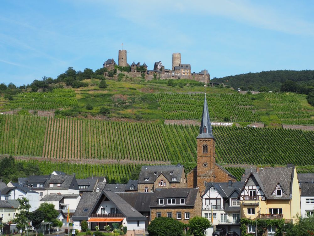 A village below, with houses and a church, vineyards on the hill behind, which is topped by a castle.