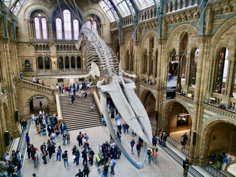 A very large hall seen from its second level, with a very large dinosaur skeleton in the middle of the hall.