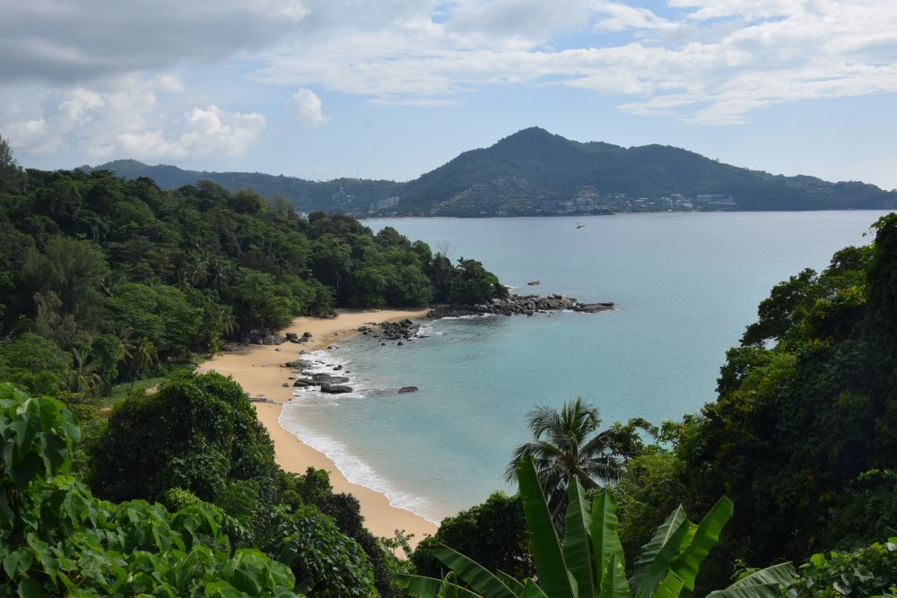 View from up high down toward a deserted beach, surrounded by greenery.