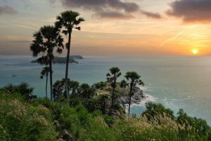 Sunset over the sea framed by palm trees.