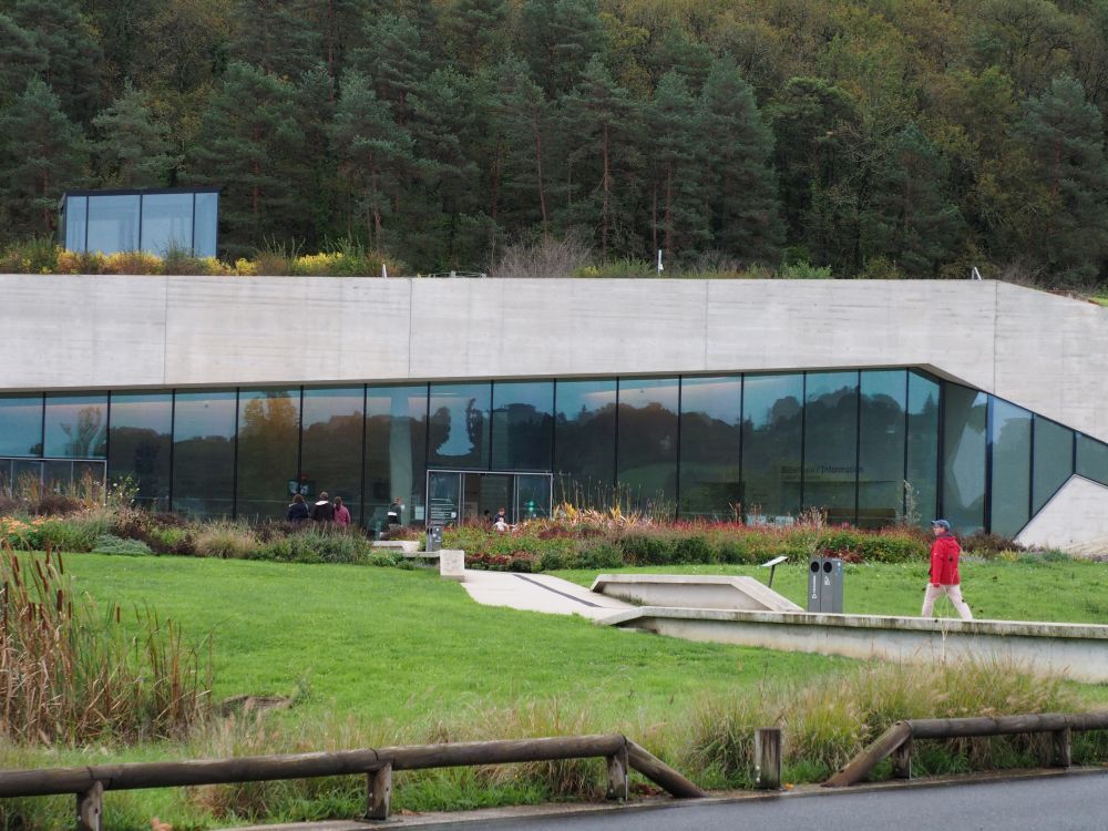 A one-story building with a diagonal wall of concrete framing large glass windows. The forest starts on its roof.