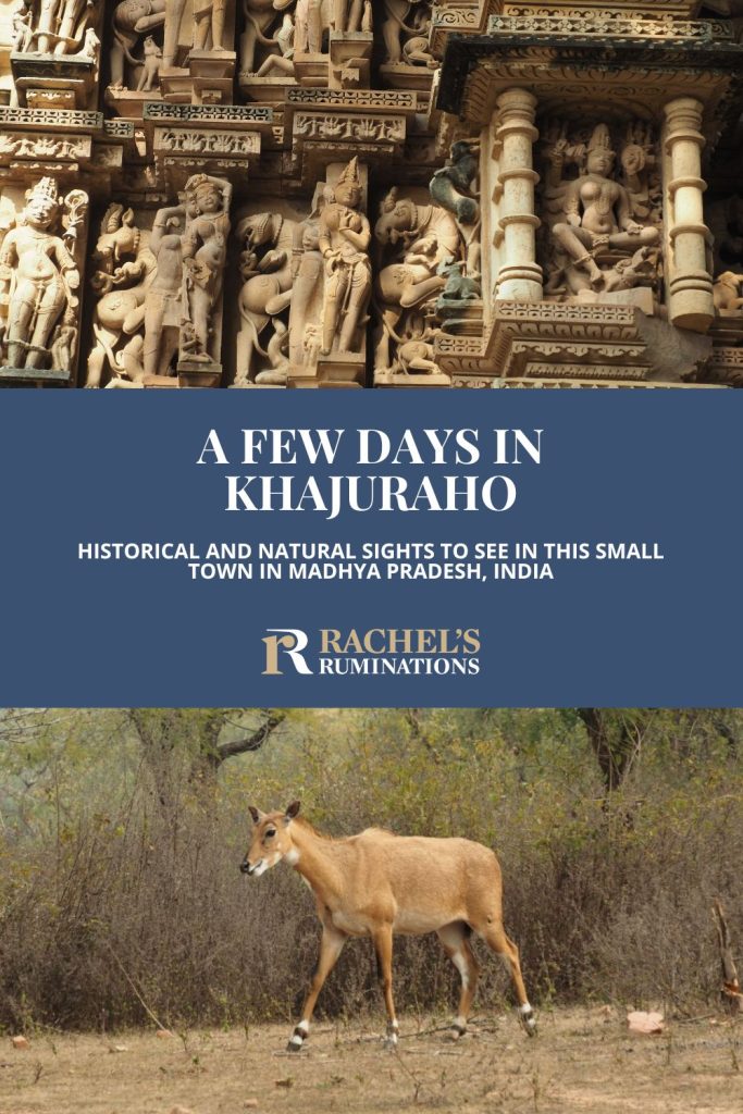 Text: A few days in Khajuraho - Historical and natural sights to see in this small town in Madya Pradesh, India. Images: above, temple carvings; below, an antelope.