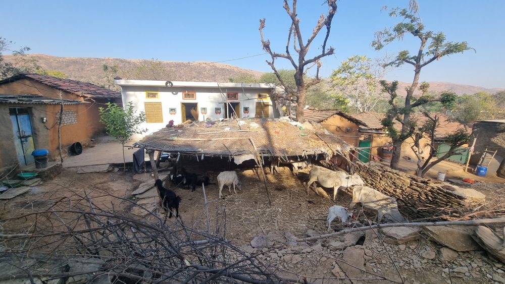 A house and an enclosure with cows.