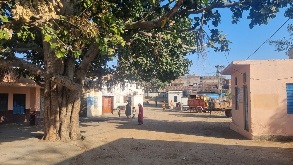 A clearing with an old tree and one-story buildings around the edge.