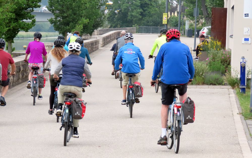 A group of cyclists cycle away.