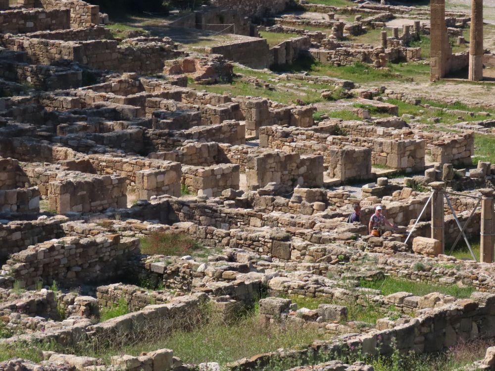 A section of the ruins, with the low stone walls showing where the houses and streets were.