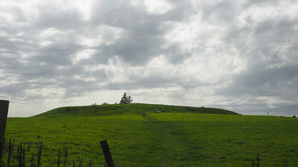 Looking up a grassy hill, a low mound, also covered in grass, at the top in the distance. Rathcraghan, one of the prehistoric sites in Ireland.