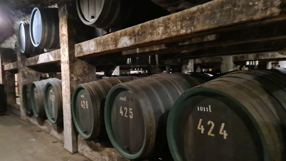 Rows of wooden barrels on two shelves.