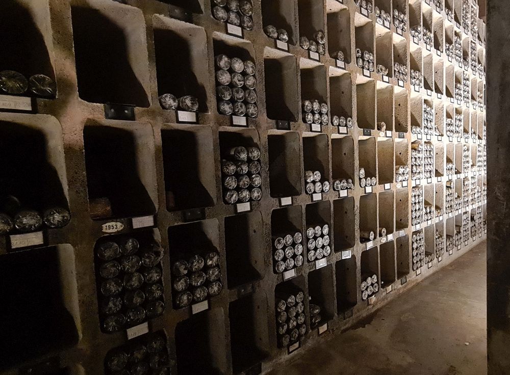 Shelves with square divisions, each with bottles of wine lying in it.