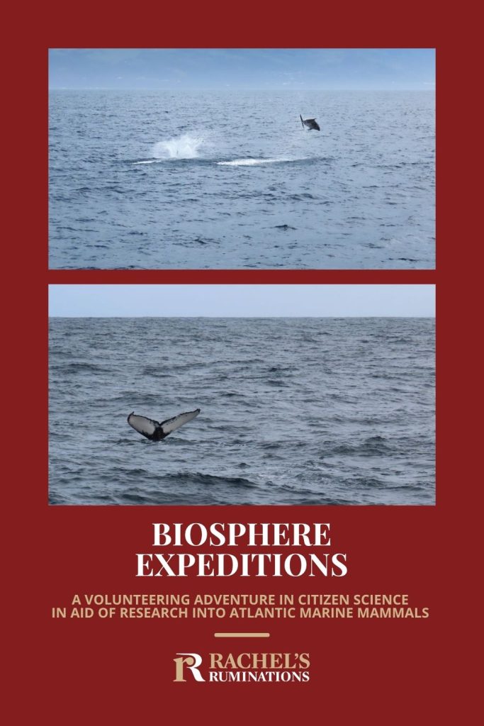 Text: Biosphere Expeditions: A volunteering adventure in citizen science in aid of research into Atlantic marine mammals. Images: above, a dolphin jumping; below, a whale tail.