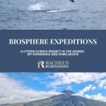Text: Biosphere Expeditions. A citizen science project in the Azores: My experience and some advice. Images: above, a dolphin jumping; below, Pico mountain volcano, seen across the water.